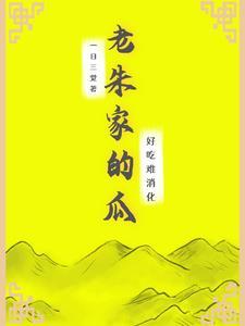 老朱家的名字