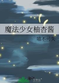 魔法少女综英美