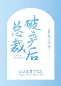 总裁破产之后