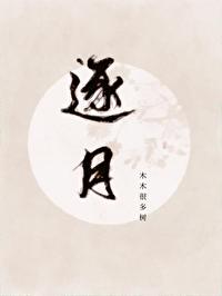 逐月之月3