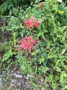 四合院开始的旅