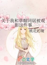 海贼王同人加入草帽