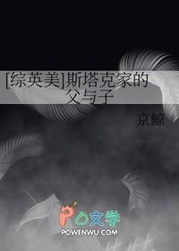 综英美斯塔克家的父与子盘