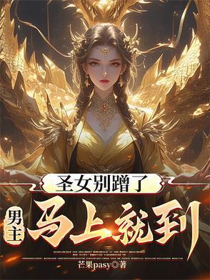 圣女婊是什么意思啊