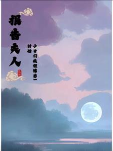 报告夫人免费阅读17