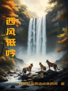 西风乍起
