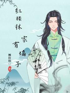 红楼之林家有子无防盗