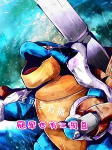 宝可梦各代冠军阵容