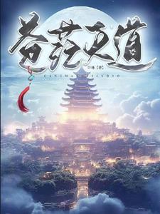 苍茫大道下面句是什么