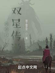 网游之星剑传奇