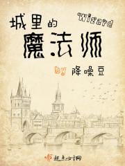 城里的魔法师好看么