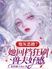 炮灰