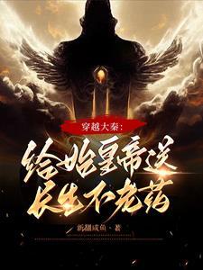 穿越大秦救秦始皇