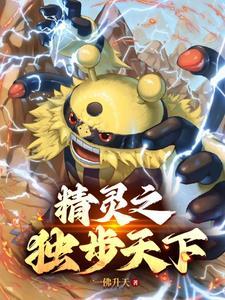 精灵宝可梦之登神长街作者一佛升天