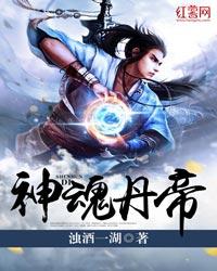 神魂丹帝免费阅读
