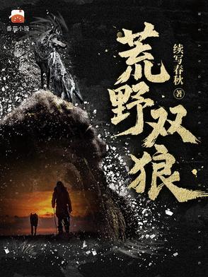 荒野之王苍云峰全书