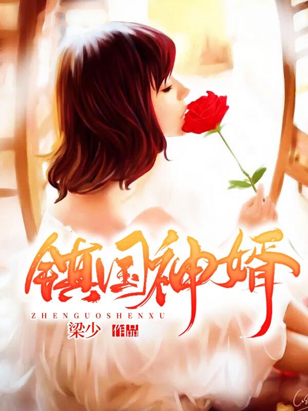 镇国神婿百科