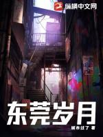 东莞岁月作者