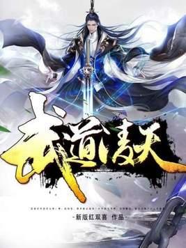 武道凌天TXT免费