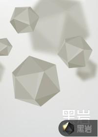 满朝文武跪求登基 第504章