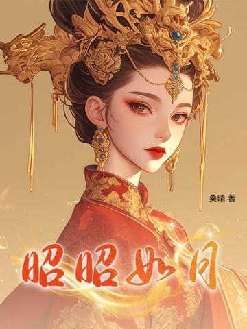 (综)昭如日月