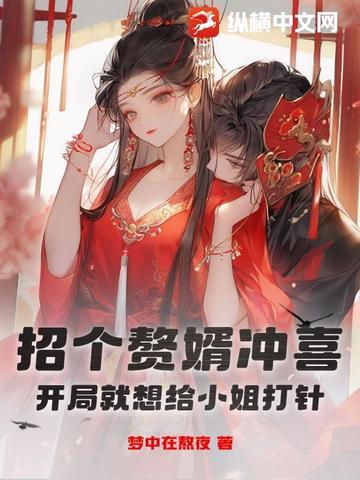 招婿入赘什么意思
