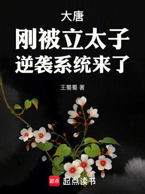 大唐刚被立太子