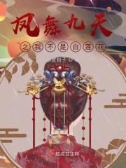凤舞九天txt
