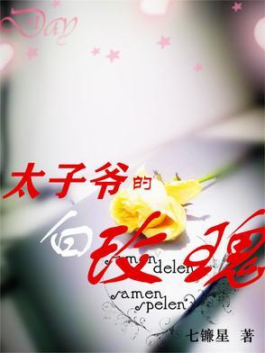 太子的白月光免费阅读
