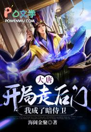 大唐开局当城主