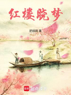 红楼q梦小米