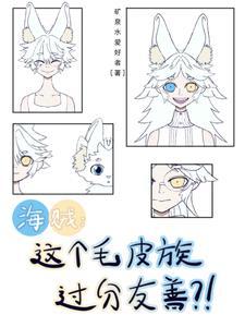 海贼之皮毛族大将txt